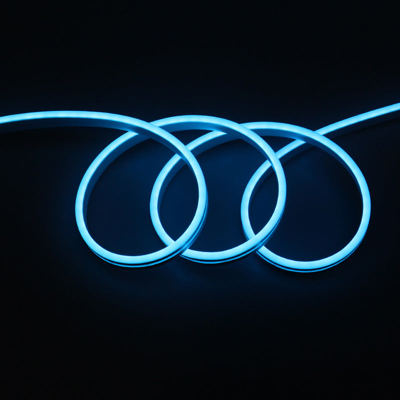 Monochrome neon lights